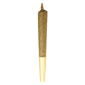 Buddy Blooms - Sativa Pre-Roll - 1x1g