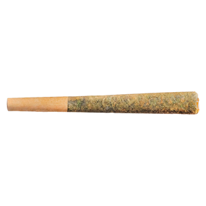 Fuego - Sunny Daze Sativa Pre-Roll - 1x1g