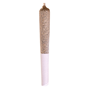 Potluck - Beaver Tail Pre-Roll - Indica - 1x0.5g